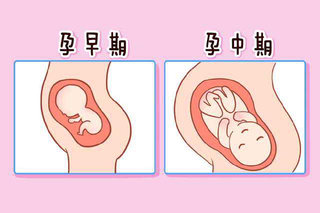 郑州助孕双胞胎，郑州试管双胞胎：郑州试管双胞胎多少钱