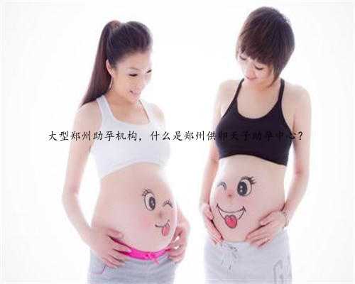 大型郑州助孕机构，什么是郑州供卵天子助孕中心？