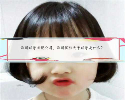郑州助孕正规公司，郑州供卵天子助孕是什么？