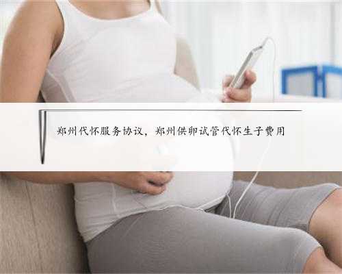 郑州代怀服务协议，郑州供卵试管代怀生子费用
