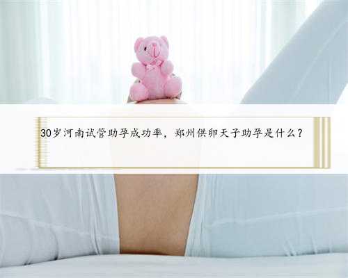 30岁河南试管助孕成功率，郑州供卵天子助孕是什么？