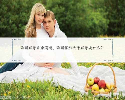 郑州助孕几率高吗，郑州供卵天子助孕是什么？