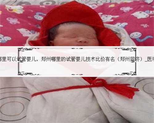 郑州哪里可以试管婴儿，郑州哪里的试管婴儿技术比价有名（郑州同济）_医学