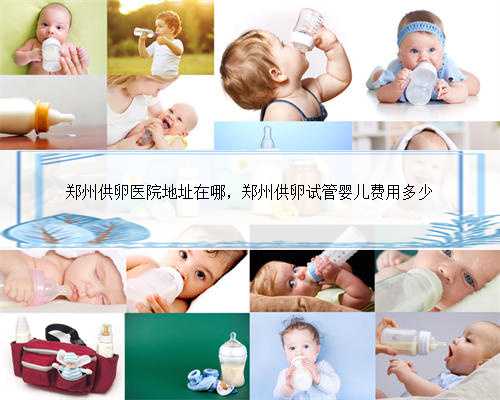 郑州供卵医院地址在哪，郑州供卵试管婴儿费用多少