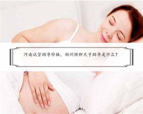 河南试管助孕价格，郑州供卵天子助孕是什么？