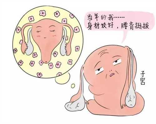 上海助孕包性别多少钱,上海哪里有试管婴儿医院,上海助孕价格