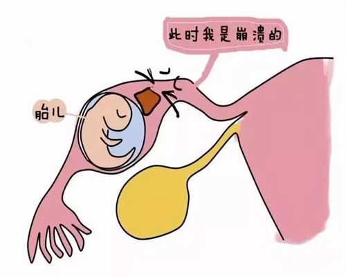 上海代孕~上海代孕公司的资源~上海找个女人代孕多少钱