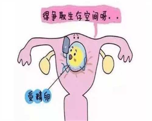 上海代孕专家-上海找代孕中介-上海代孕需要配血型吗