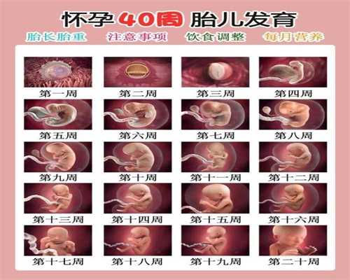 郑州代生一个小孩多少钱，在郑州试管婴儿多少钱_试管助孕前后养护卵巢怎么