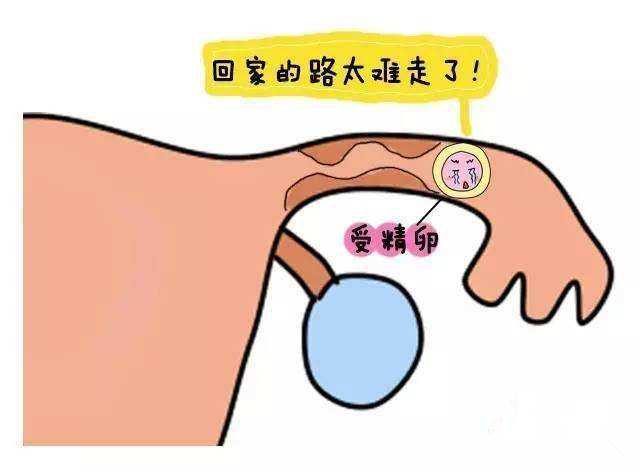 郑州供卵公司排名~郑州捐卵供卵交流群~，刚受孕几天可以同房吗