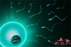 郑州供卵孩子~郑州试管供卵代生~郑州供卵试管婴儿中心，怀孕前半个月能同房