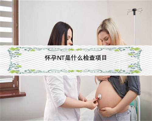 怀孕NT是什么检查项目
